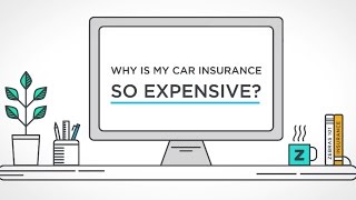 Famous Why is my car insurance so expensive? | The Zebra Wealth