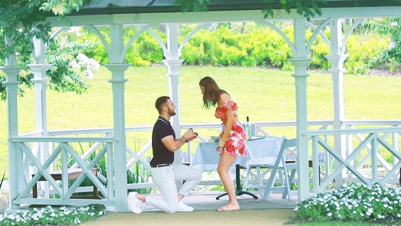 ЭМОЦИОНАЛЬНЫЕ предложения по парку и их НАСТОЯЩИЕ обязательства!