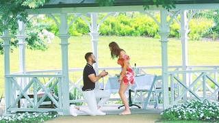 Emotional Park Proposals & Their Real Engagements