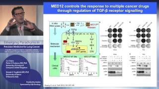 Emerging Paradigms in Precision Medicine for Lung Cancer