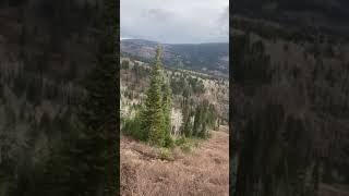 Beaver Mountain Utah Elk Hunt!!