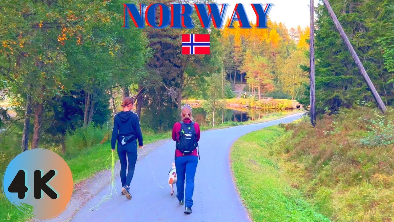 【4K】Walking Tour / Taking A Walk In NORWAY Trondheim