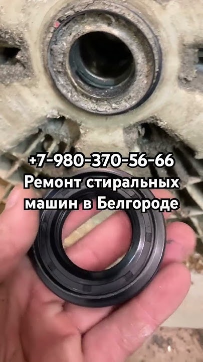 Ремонт стиральных машин в Белгороде. Ремонт посудомоечных машин в ...