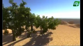 Assetstore Gaming Asset : Realistic Tree Pack3
