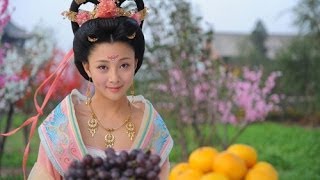 20131130 百家讲坛 唐玄宗与杨贵妃 04 诗仙醉写赞美诗