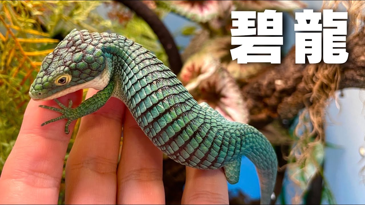 現存する碧が美しいドラゴンたち【アブロニアグラミネア】