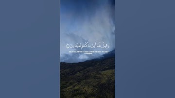 سورة الشعراء ||  Surah Ash-Shu'ara.