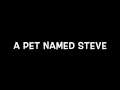 A Pet Named Steve: Markiplier