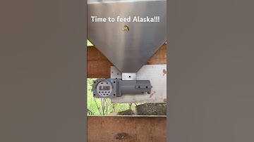 Graze Logic Automatic Feeders #horses #horselover #animals #animallover #farm #automaticfeeder