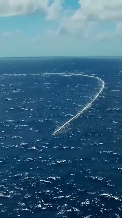 The Shocking Truth About the Great Pacific Garbage Patch