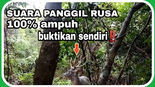 Download lagu SUARA PANGGIL RUSA DIALAM LIAR bagas malindo... mp3