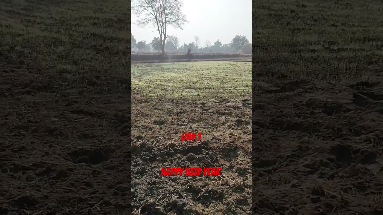 day 1..... happy new year 