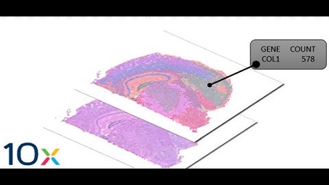 Spatial Transcriptomics Basics Part 2/2 #education #shorts #viral #viralvideo #video #videoviral