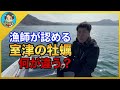 【漁師まさと】漁師が認める激うまの牡蠣を取りに行く！室津の牡蠣は何が違う！？【釣り 瀬戸内 漁師 切り抜き fish fishing fisherman SETOUCHI 船 給料】
