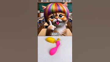 Is deze kat slimmer dan jij 🤭 #memes