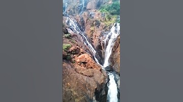 Dudh Sagar waterfall Goa #dudhsagar #waterfall #goa #dudhsagarwaterfalls #konkanrailway  #shorts
