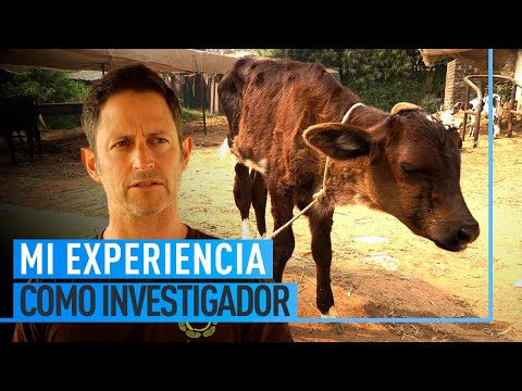 Mi experiencia como investigador