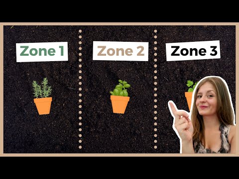 Video: Gemüseanpflanzungsanleitung für Zone 3 – Tipps zum Anpflanzen eines Gemüsegartens in Zone 3