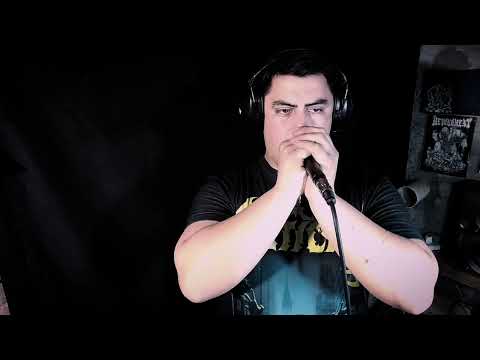 Waking the cadaver (Vocal Cover) 🔨🔨🔨👹