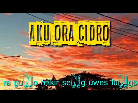 sjk---aku-ora-cidro-(cover)