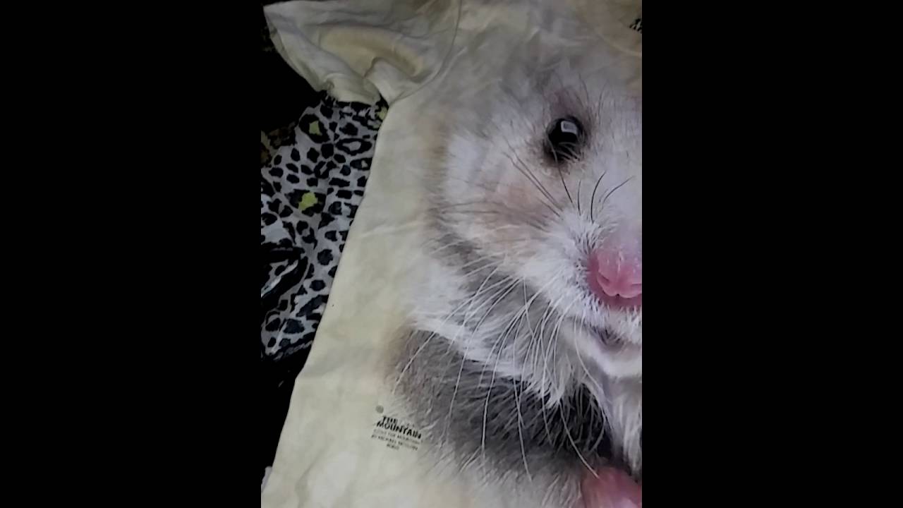 50 % off thrift sale scores!