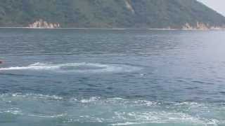 MSC-601 ひらしま 2014 Video-01