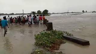 Sailab Flood In Araria
