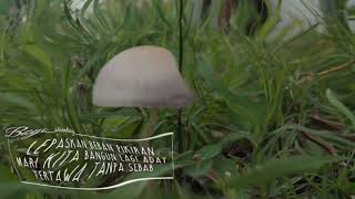 Story WA 'sweet mushroom' tertawa tanpa sebab