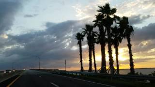 Palm Tree Sunset Drive