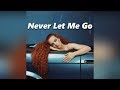 Jess Glynne - Never Let Me Go (Audio)