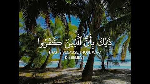 من يعرف اسم القارئ من هو