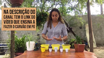 Qual o tipo de terra para zamioculca?