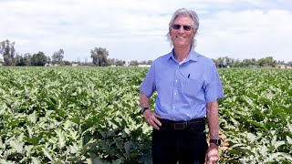 Baloian Farms: A Fourth Generation Family Business