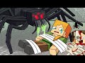 GIANT SPIDER MUTANT and ALEX ORIGIN STORY! - Minecraft Animation