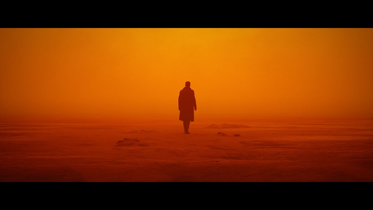 Blade Runner 2049 — I Always Knew You Were Special