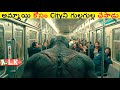అమ్మాయి కోసం Cityని గుల్లగుల్ల చేసాడు చుడండి || Movie Explained In Telugu || ALK Vibes