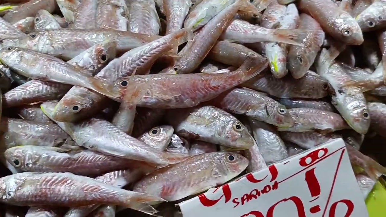 Buying fresh fish for lunch yummy 😋😋😋