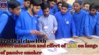 Determination and effect of TAR on the lungs of passive smoker cigarette effect on lung practical