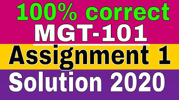 MGT 101 Assignmet 1 Idea Solution | 100% correct | Learn with Zaheer Ul Islam