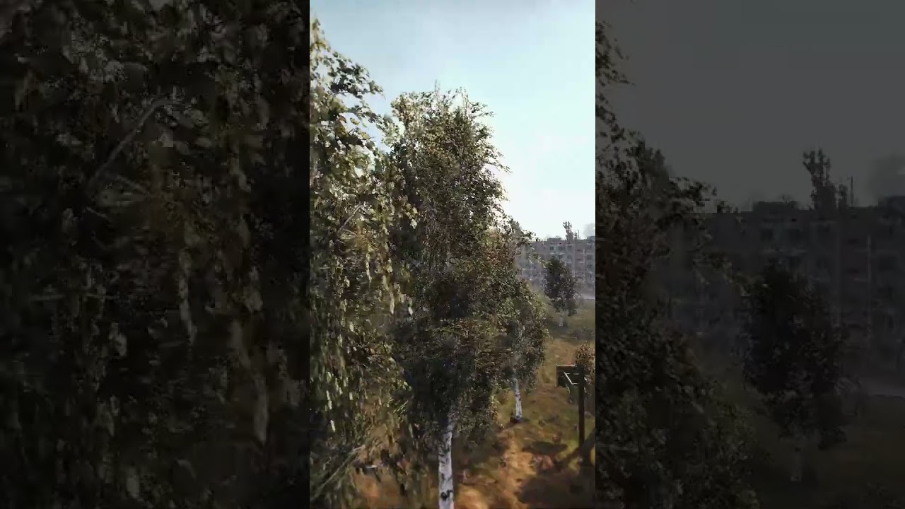 САМАЯ РЕДКАЯ АНОМАЛИЯ В ЗОНЕ 🤡 