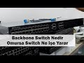 Backbone | Omurga Switch Nedir | Ne işe Yarar | Uygulamalı Anlatım