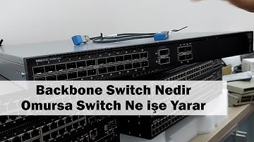 Backbone | Omurga Switch Nedir | Ne işe Yarar | Uygulamalı Anlatım
