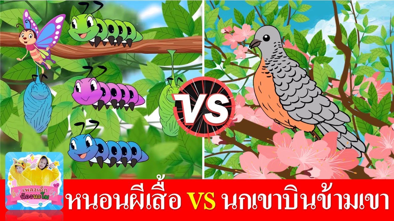 เพลงหนอน vs นก | เพลงเด็กเรียนรู้เรื่องสัตว์ | หนอนผีเสื้อ | นกเขาบินข้ามเขา