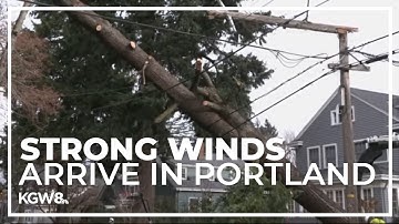 High winds bring down trees, knock out power