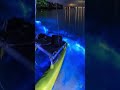 La Preciosa Plata que se Ilumina💙😮 #curiosidades #datoscurisos #youtubeshorts #naturaleza  #datos