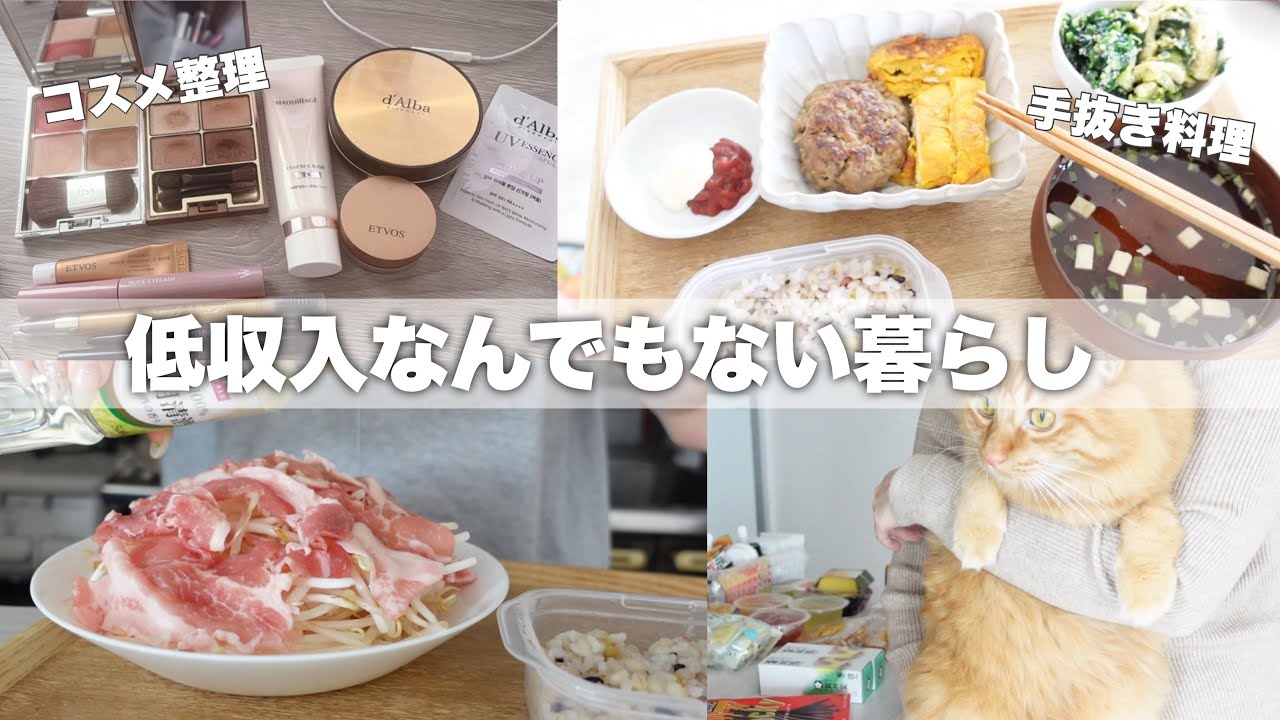 【低収入の暮らし】なんでもない日常￤献血10回目￤持ってるコスメ紹介￤購入品紹介