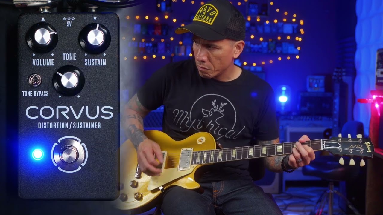 ギター OneOff COSMIC MUFF PI CUSTOM MOD ギター OneOff COSMIC MUFF