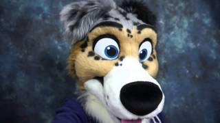 lps australian shepherd