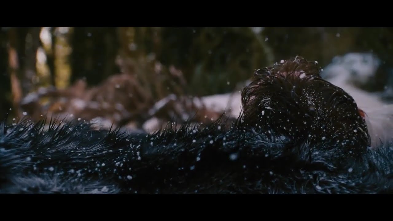 The Grey (2011) – Post-Credits: Alpha Wolf’s Final Breath