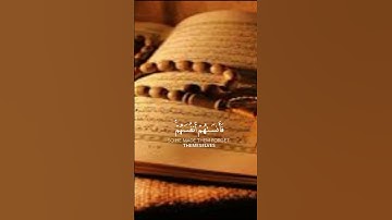 ولا تكونوا كالذين نسوا الله فأنساهم أنفسهم أولئك هم الفاسقون#سورة #الحشر #قرآن  #محمد_صديق_المنشاوي